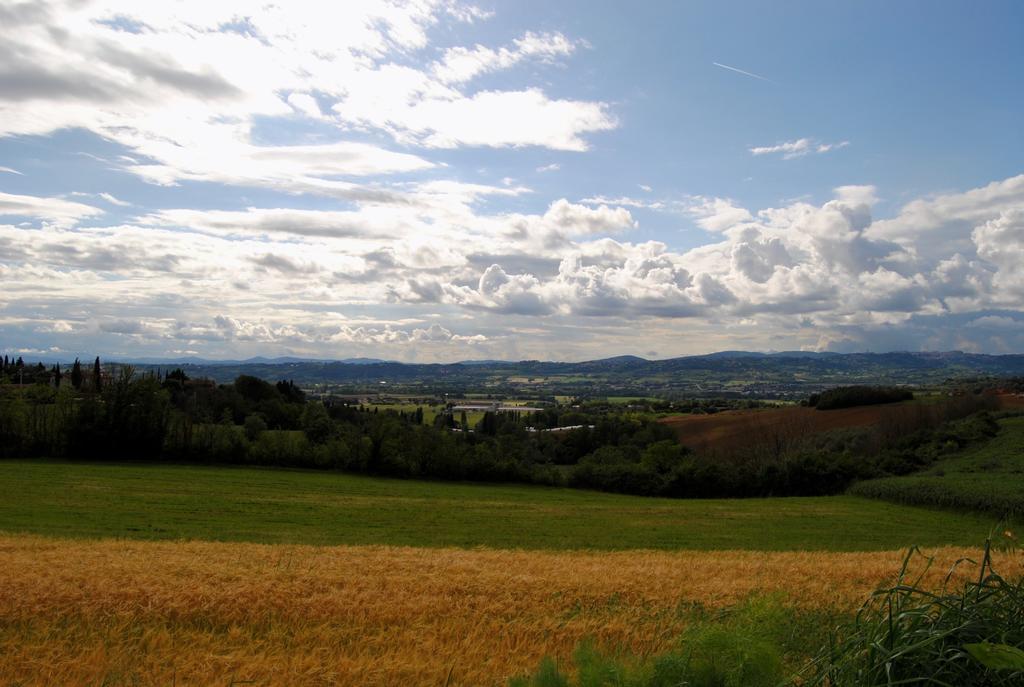 Appartamenti Brufa Civico 13/17 Exteriér fotografie
