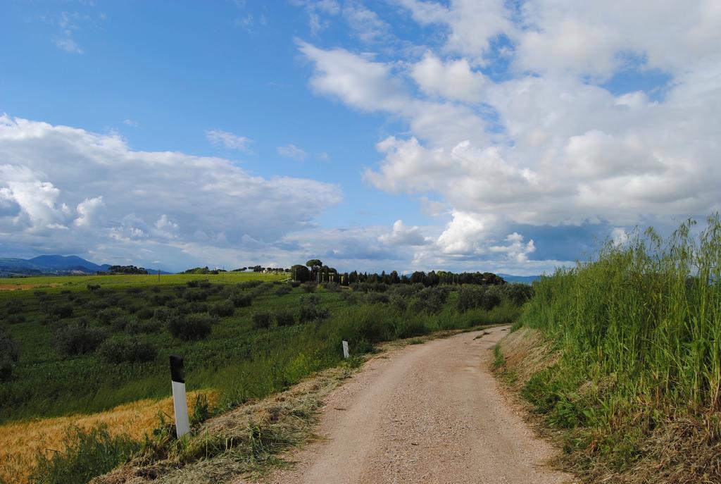 Appartamenti Brufa Civico 13/17 Exteriér fotografie